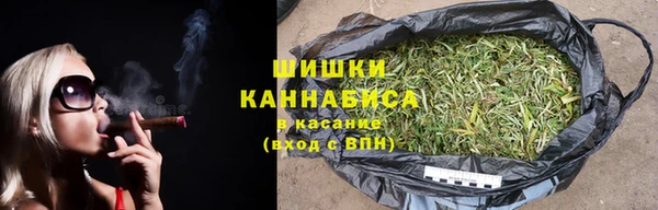шишки Арсеньев