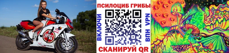 Псилоцибиновые грибы мицелий Ладушкин